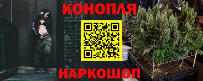 сатива Можайск