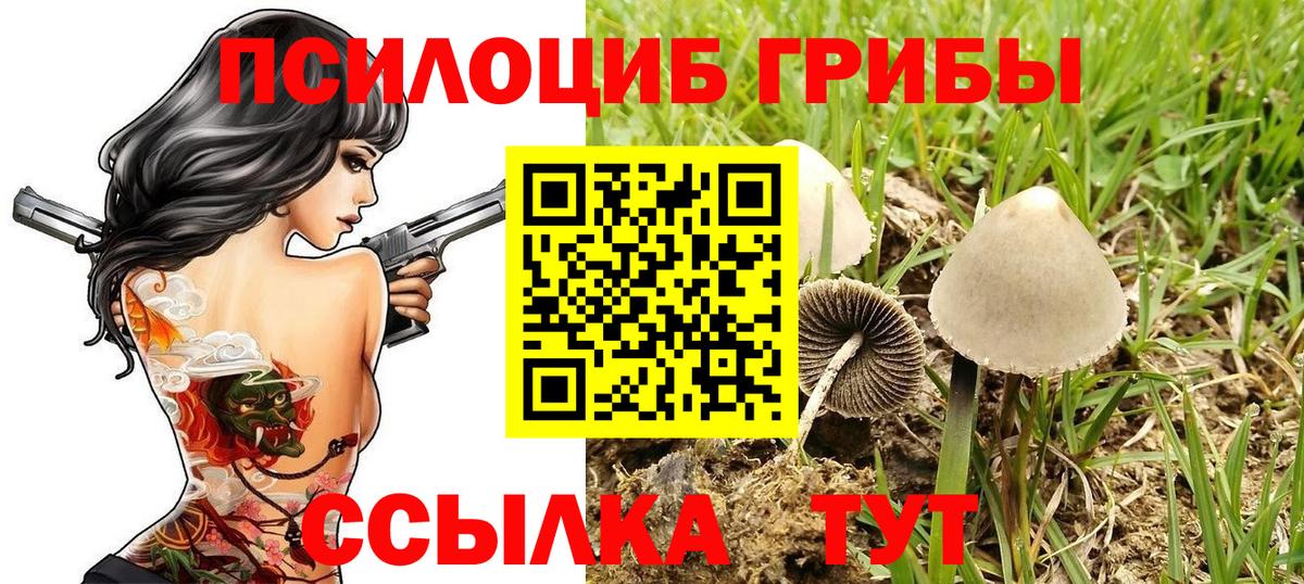 Углич  Псилоцибиновые грибы GOLDEN TEACHER  Вход с VPN 