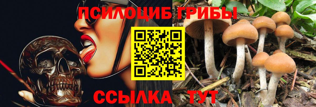 Галлюциногенные грибы Cubensis Углич